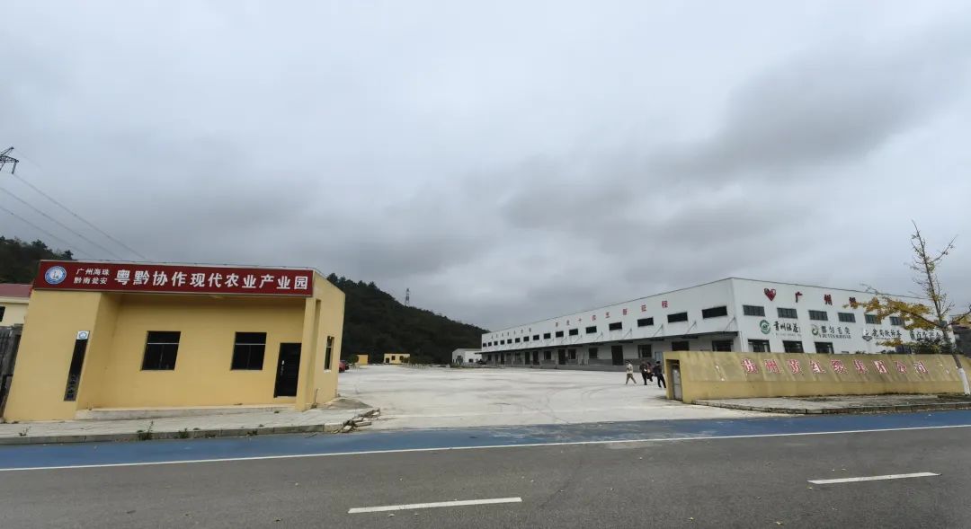 广州海珠·黔南瓮安粤黔协作现代农业产业园。